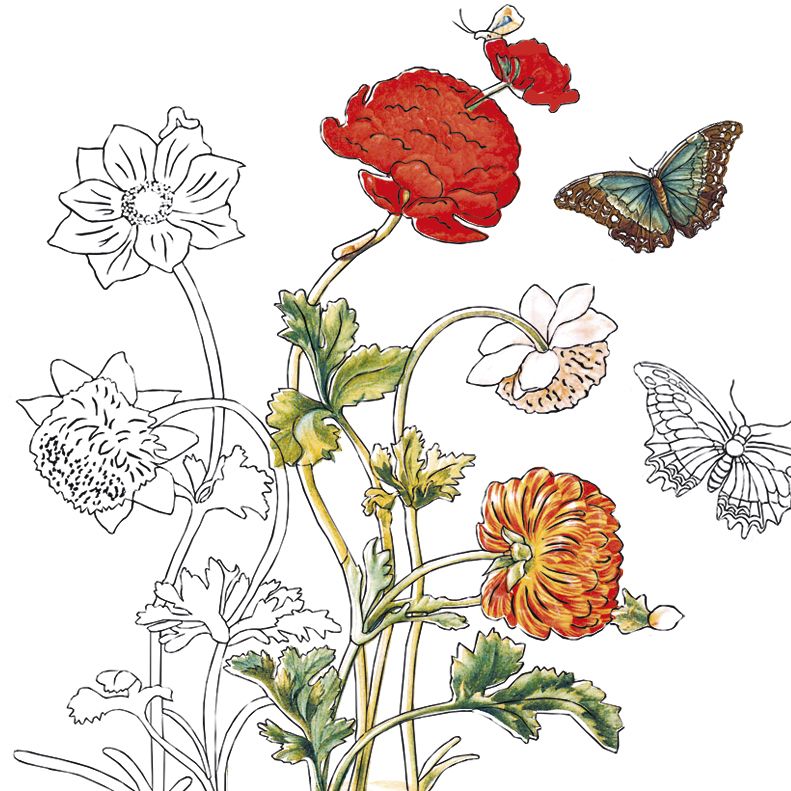 Fridolin Coloring Art, Merian, Ausmal-Set